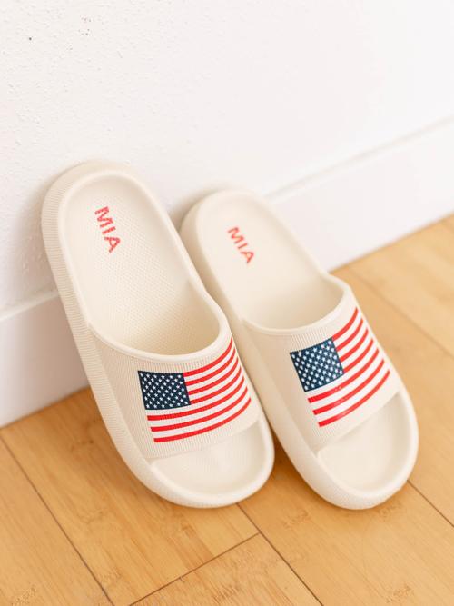 MIA Arizonna Flag Pool Slide