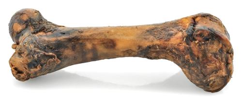 Smoked Pork Femur Bone (10 Pack)