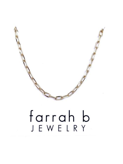 Farrah B Medium Chain Necklace
