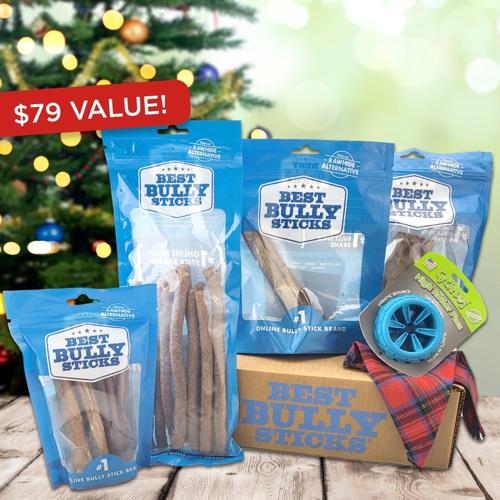 The BEST Holiday Treats & Chews Box
