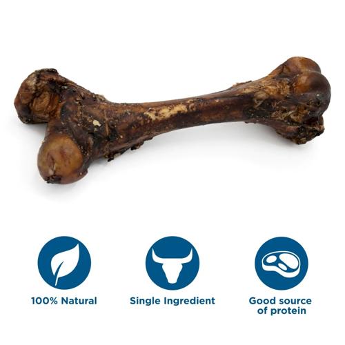 Monster Femur Bone