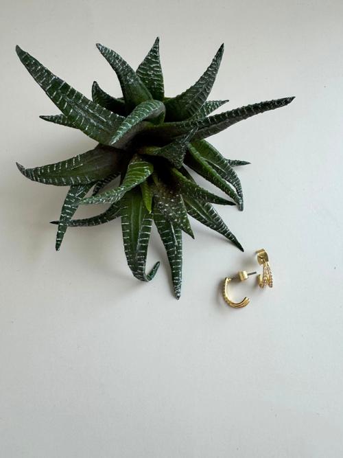CZ Pave Layered Hoop Earring