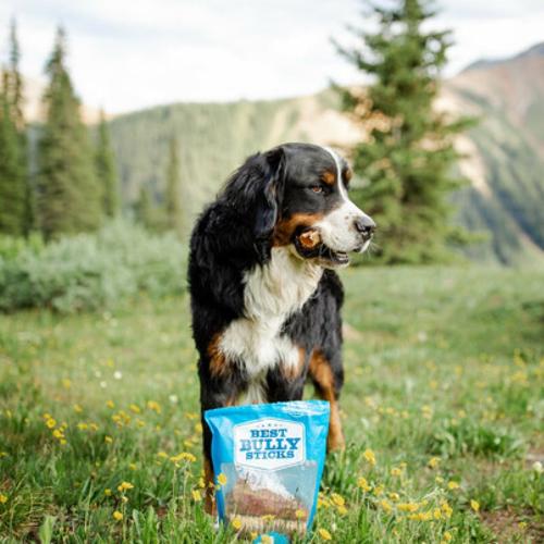Beef Trachea Grab Bag (8 oz)