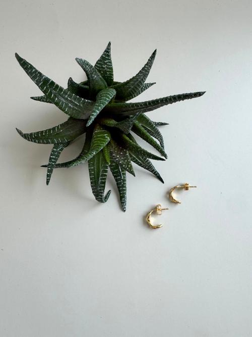 Dainty Solid Chain Hoop Earrings
