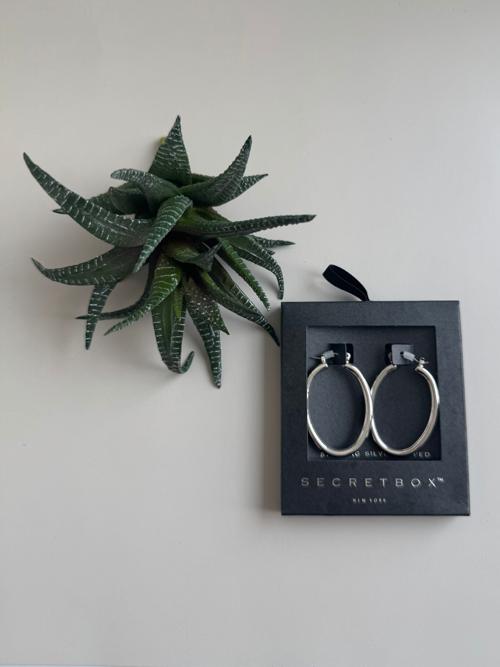 Gold Dipped Latch Oval Earring