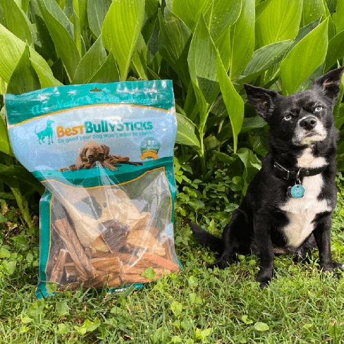 Chew Variety Grab Bag (2 lb)