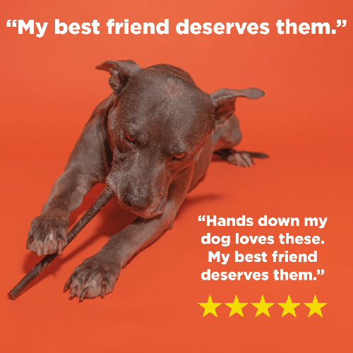Best Bully 12-Inch Beef Collagen Stick