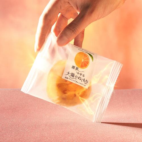 Japanese Valencia Orange Cake (1 Piece)