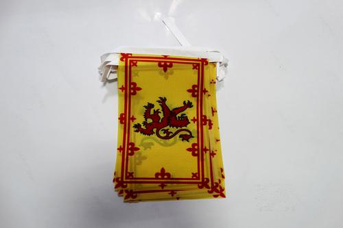 AZ FLAG Guirlande 6 mètres 20 Drapeaux Pays-Bas 21x15 cm - Drapeau hollandais 15 x 21 cm